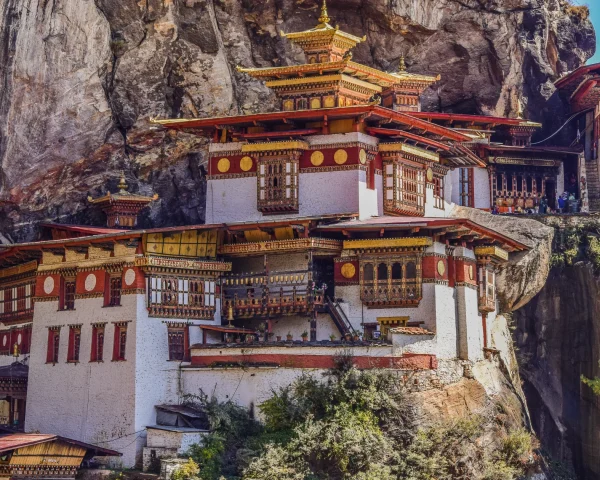 Paro-City
