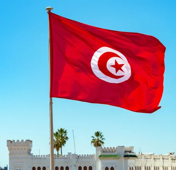 Tunisia Flag Image Tunisia-Flag-Image