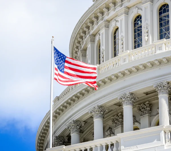 USA-Flag-Image